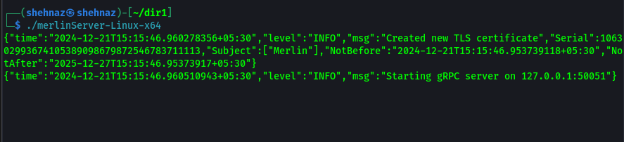 Starting Merlin Server