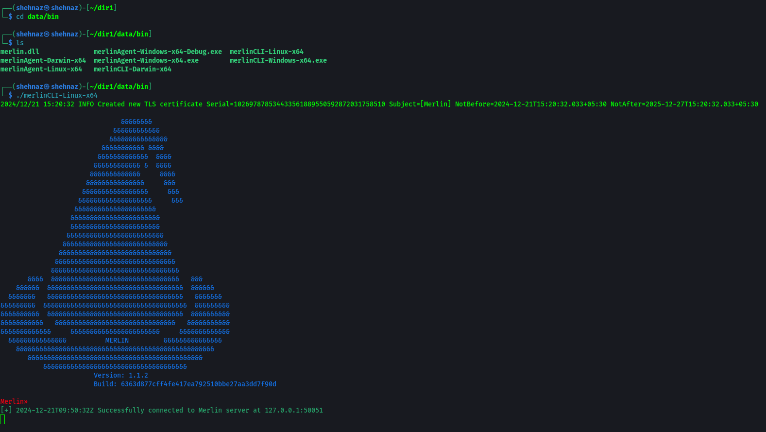 Starting Merlin CLI