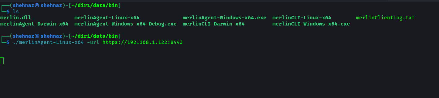 Running Merlin Agent on Kali Linux